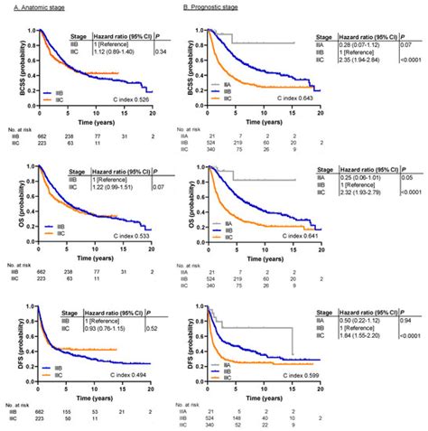 Validation of Prognostic Stage and Anatomic Stage in the American Joint ...