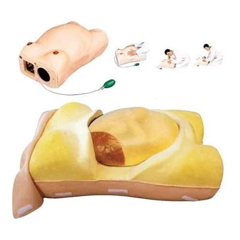 Abdominal Palpation Model Pvc Maternity Examination Nursing Model, For