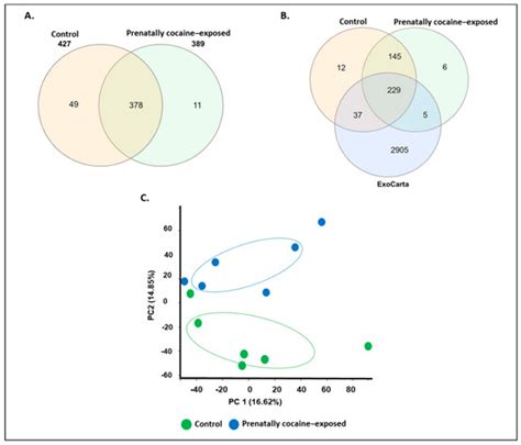 Biomolecules | Special Issue : Translational Biomarkers in Addictive ...