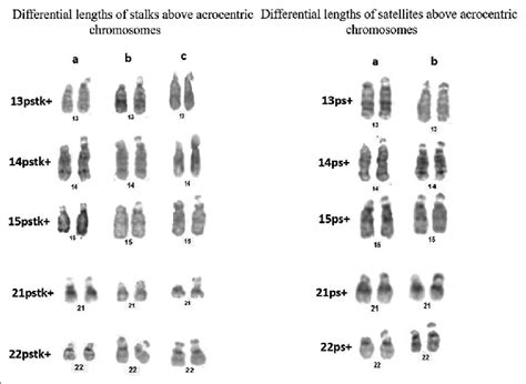 Image result for Column Code