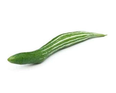 InHydro Premium Vegetable Snake Gourd Seeds (Op) | Sow and Grow Fresh ...