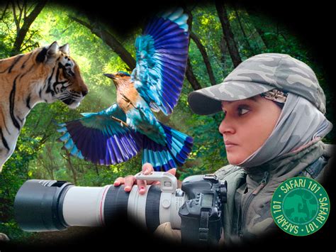 Kaziranga National Park: A safari guide’s tips on the best time to ...