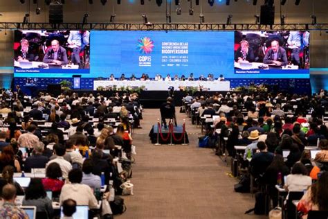 Finaliza la COP16: estas fueron sus principales conclusiones y acuerdos ...