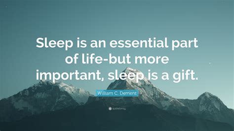 Importance Of Sleep