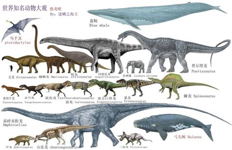 Pin by Andy Fu on The biggest Dinorsaurs so far | Prehistoric animals ...