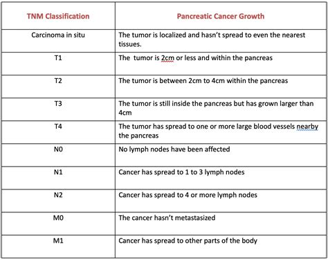 Pancreatic Cancer Survival Rate | Power