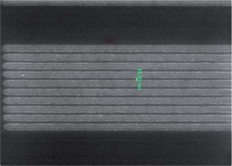 Prof. Satinder Kumar Sharma