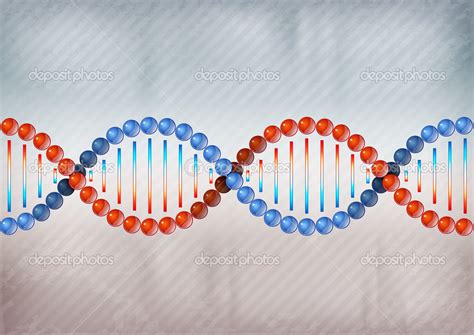 DNA双链中两条链都能作为转录模板翻译成RNA吗？ - 知乎