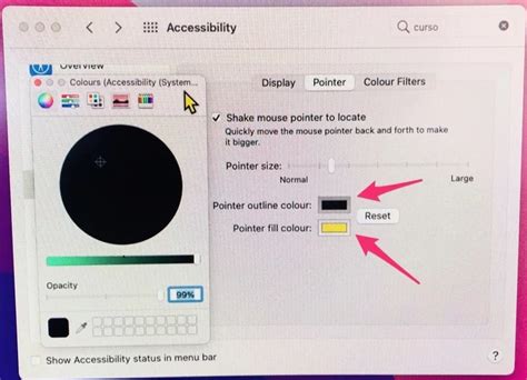 Change Pointer Color in Mac 的图像结果