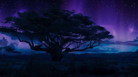 Image result for Computer Scanner Black Background