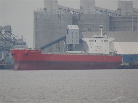 CASSIOPEIA OCEAN, Bulk Carrier - Details and current position - IMO ...