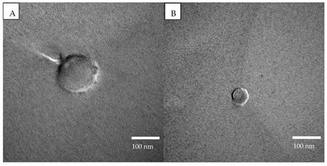 Pea and Soy Protein Stabilized Emulsions: Formulation, Structure, and ...