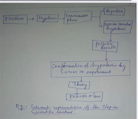 Image result for Scientific Method Experiment