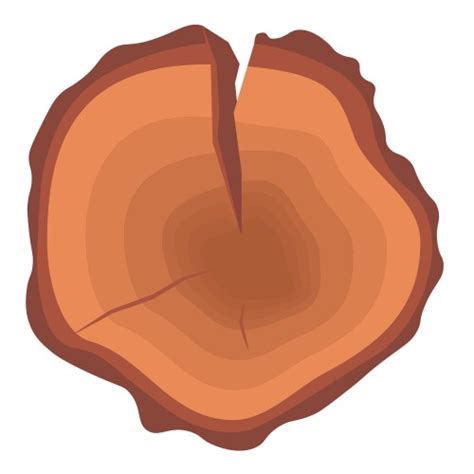Image result for Tree Ring Cartoon