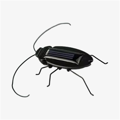 Solar-Powered Vibrating Black Cockroach Bug – QuartzComponents