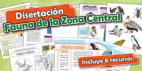 Pack Recursos | Disertación | Fauna de Chile | Zona Central