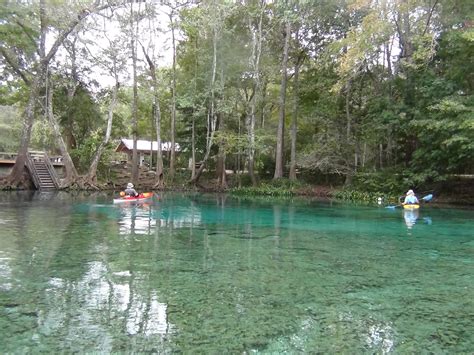 Santa Fe River: Springs Canoe and Kayak Tour in Florida - Adventure Outpost