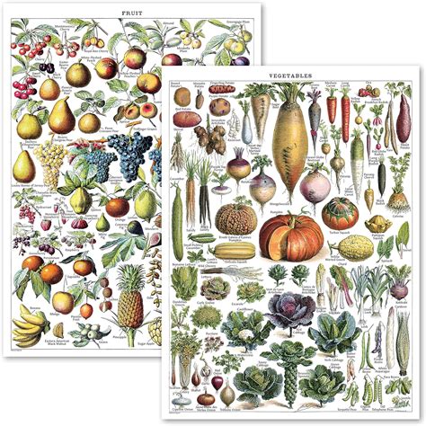 Buy Palace Learning Vintage Fruits & Vegetables Poster Prints ...