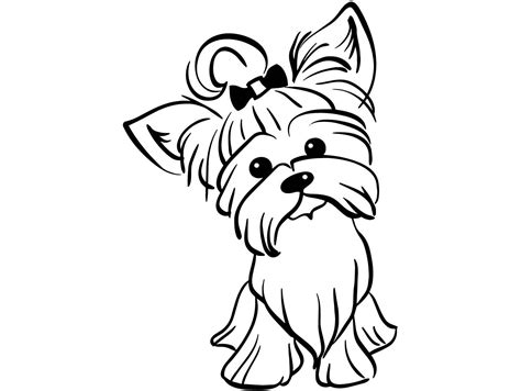 How To Draw A Yorkie Puppy Step By Step at Victoria Otero blog