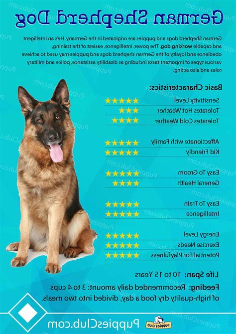 German Shepherd Characteristics