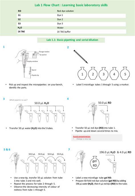 Image result for Flow Lab Introduction