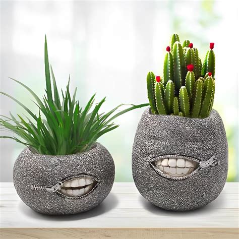 Unique Indoor Planter Pot Set-2,Funny Small Succulent Plant Pot,Novelty ...