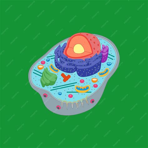Image result for Cell Adaptation Cartoon