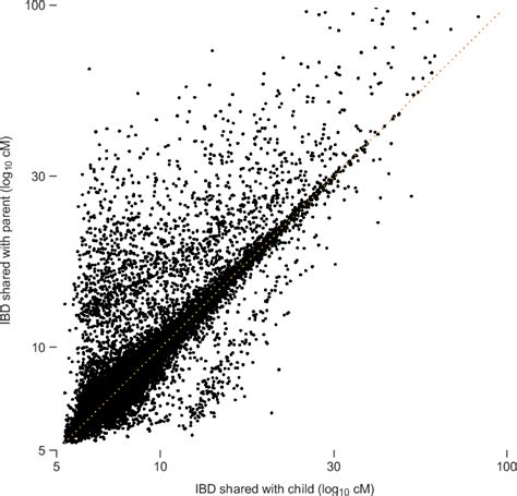 Image result for Pyramid Structure Python Example From Data Annotation