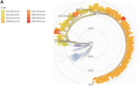 A Detailed Overview of SARS-CoV-2 Omicron: Its Sub-Variants, Mutations and Pathophysiology ...