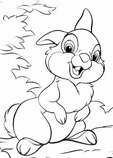 malvorlage hase einfach ausmalbilder hasen ausmalbild hase ausmalbilder malvorlage hase einfach ausmalbilder hasen ausmalbild hase ausmalbilder