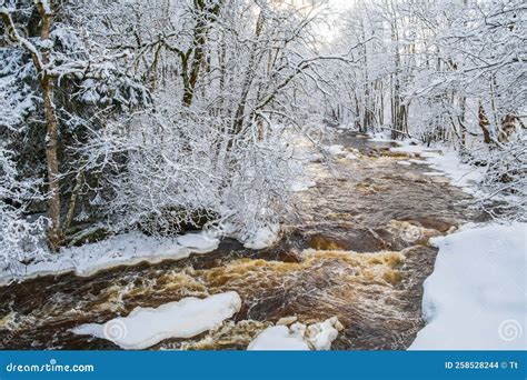 Cold Wintry Landscape by a River Stock Photo - Image of woodland ...