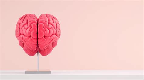 Image result for Heart Brain Connection