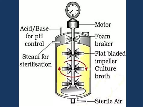 Biotechnology Process 的图像结果