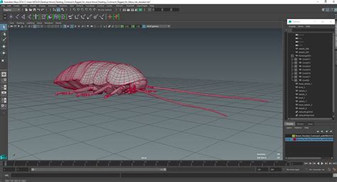 3D Wood Feeding Cockroach Rigged for Maya model | 3D Molier International