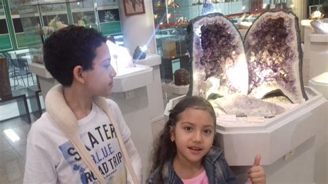 ODETTE REZENDE RONCADOR GEOSCIENCES MUSEUM (2025) All You Need to Know ...