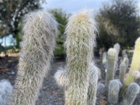 Conejo Valley Botanic Garden - Hidden California