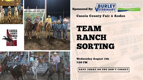 Team Ranch Sorting - Cassia County Fair - Sponsored by Raft River Sod ...