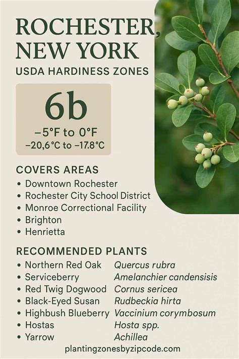 Rochester, NY, Planting Zone with Map - plantingzonesbyzipcode