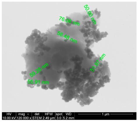 Electrical Properties of Polyetherimide-Based Nanocomposites Filled ...
