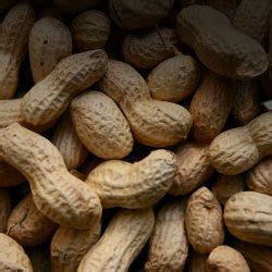 Peanut Jaggery Gazak (Chikki)
