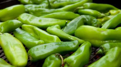 Hatch Green Chili: No-Meat Recipe - Life Extension