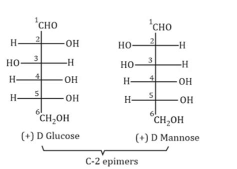 D-Glucose and D-mannose are: - Tardigrade