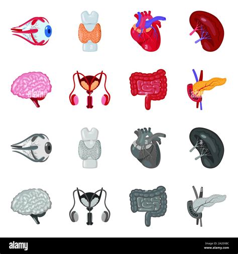 Biology Sign Clip Art 的图像结果