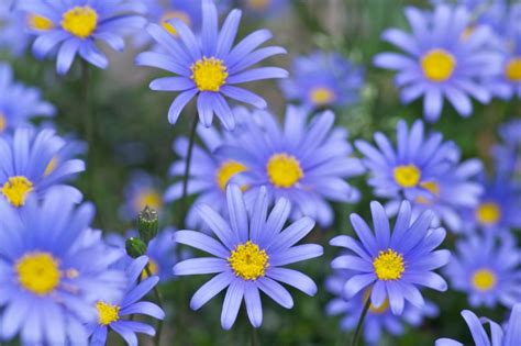 Image result for HTML Framework Practice