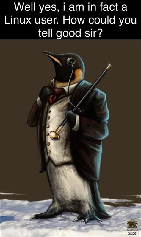 Average Linux User 的图像结果