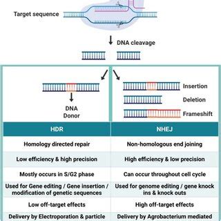 DNA Editing 的图像结果