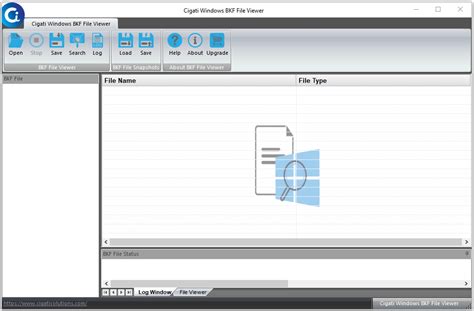 Open BKF File 的图像结果