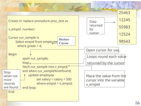 Image result for PL/SQL Developer Tutorial