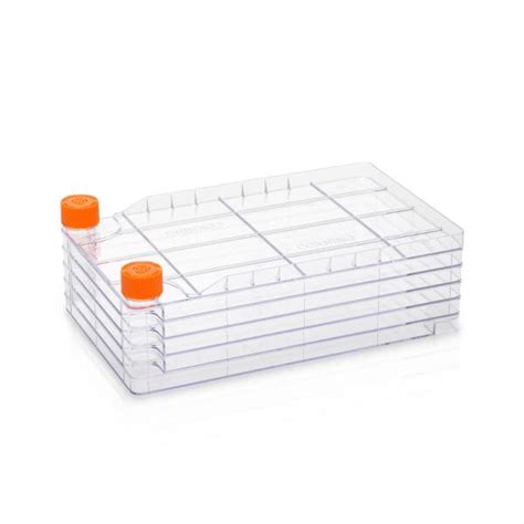 Image result for Large Cell Stack