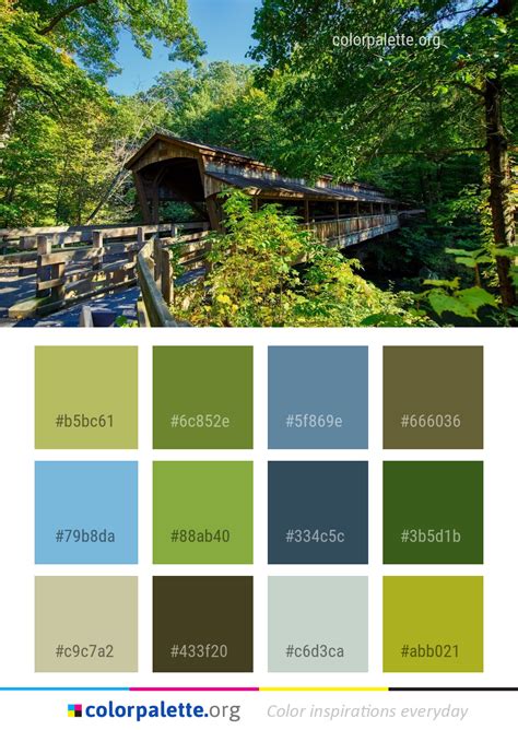 Nature Color 的图像结果